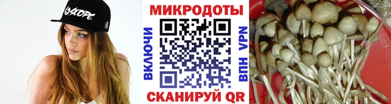 Псилоцибиновые грибы мухоморы  kraken зеркало  Инза 